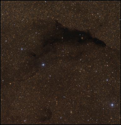 Barnard 252 - The Dolphin nebula