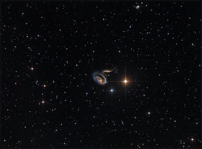 The Rose Galaxy ARP 273