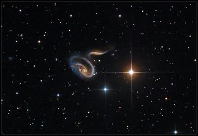 The Rose galaxy closer look