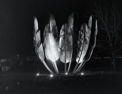 Feathers Sculpture-Midleton 1.jpg