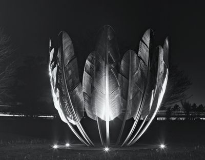 Feathers Sculpture-Midleton 2.jpg