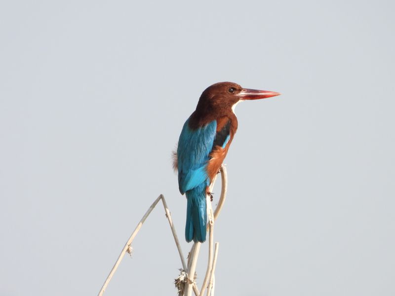 dscn1231.JPG