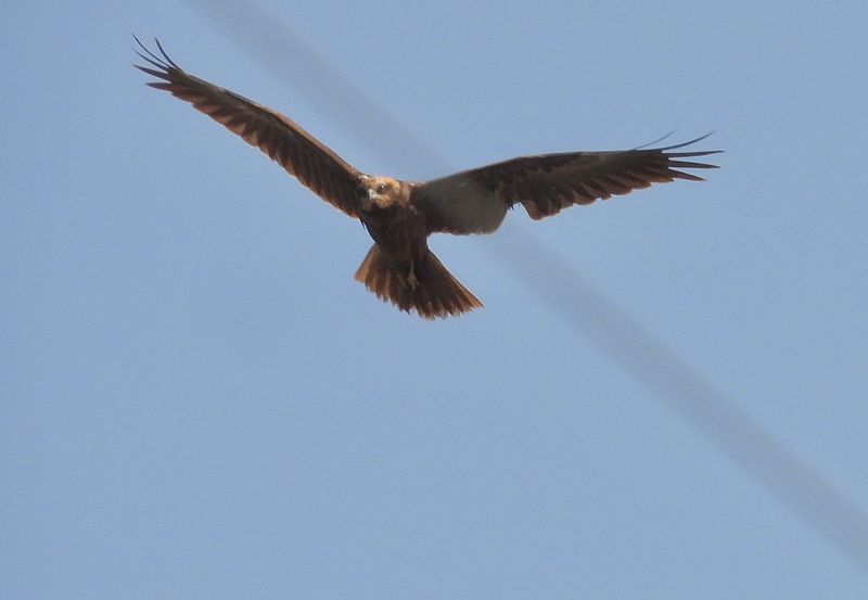dscn1281.jpg