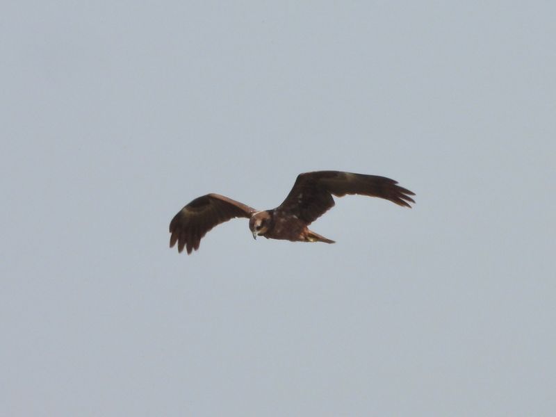 dscn1357.jpg