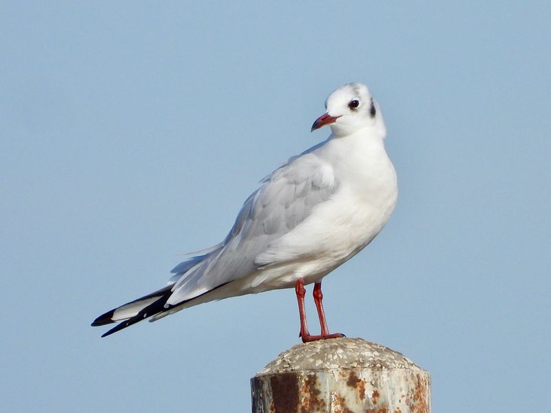 dscn1636.jpg
