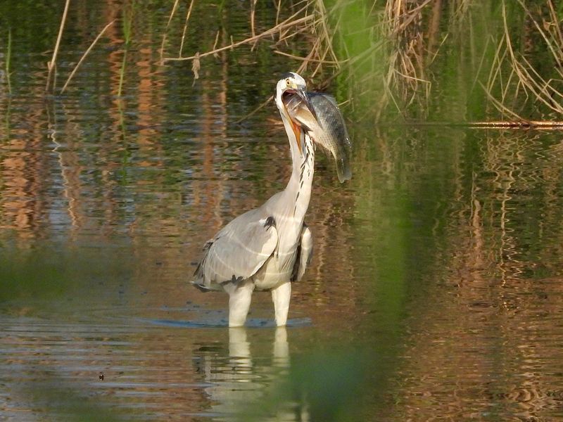 dscn2041.jpg