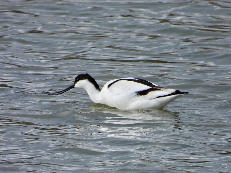 dscn2745.jpg
