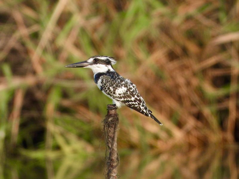 dscn3123.jpg