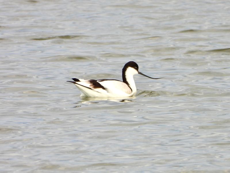 dscn3141.jpg