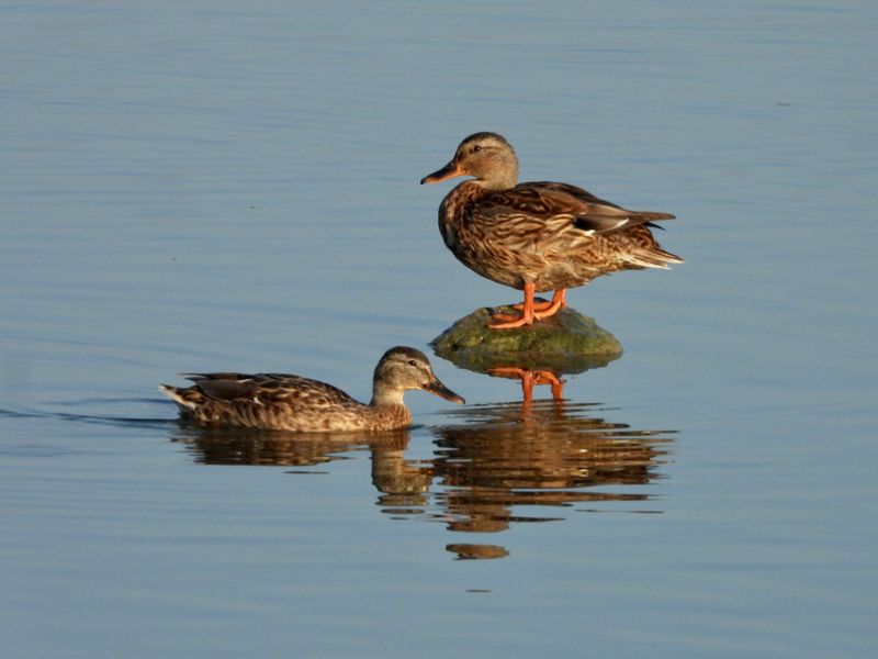 dscn3305.jpg