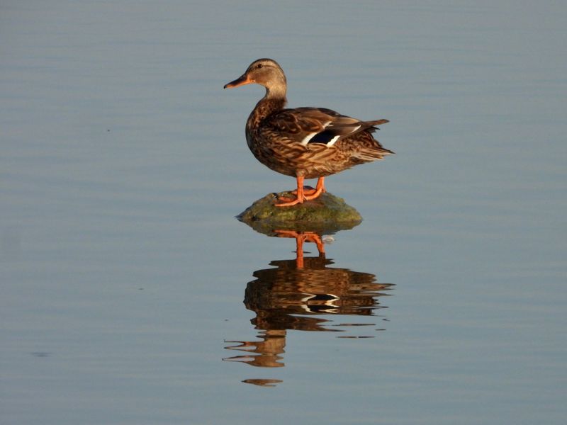 dscn3318.jpg