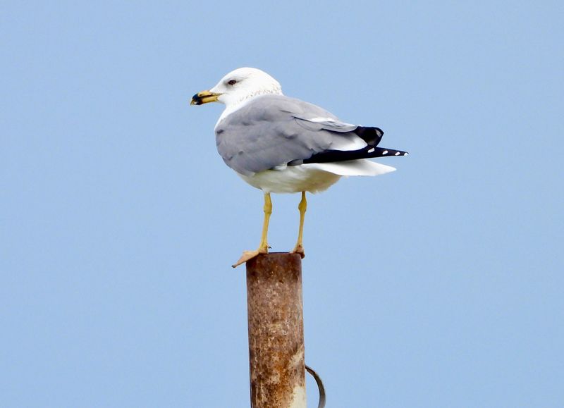 dscn3346.jpg