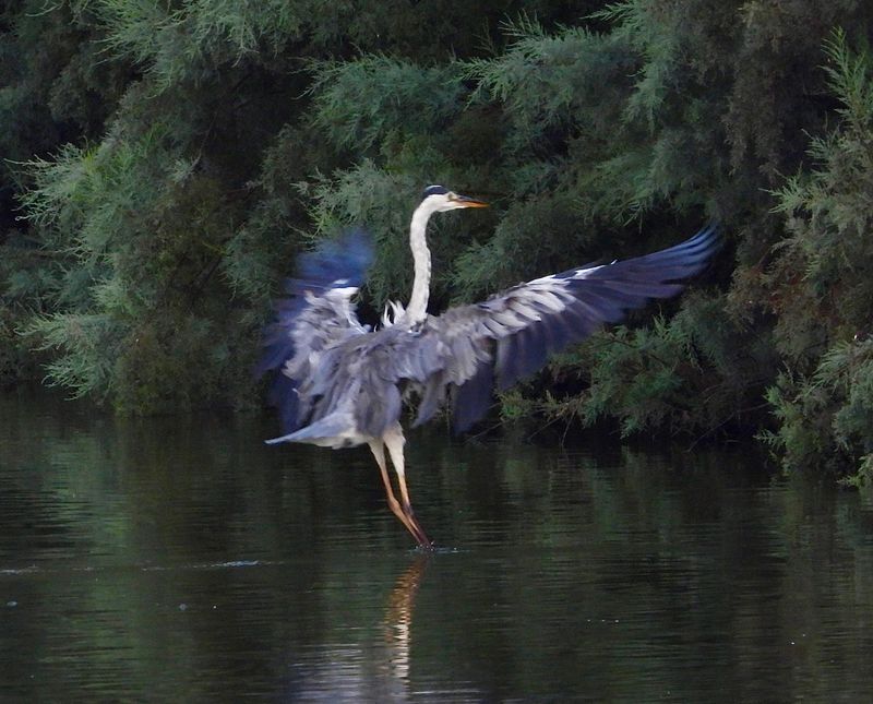 dscn3435.jpg