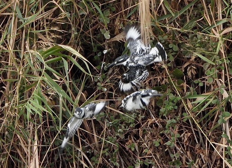 dscn3470.jpg