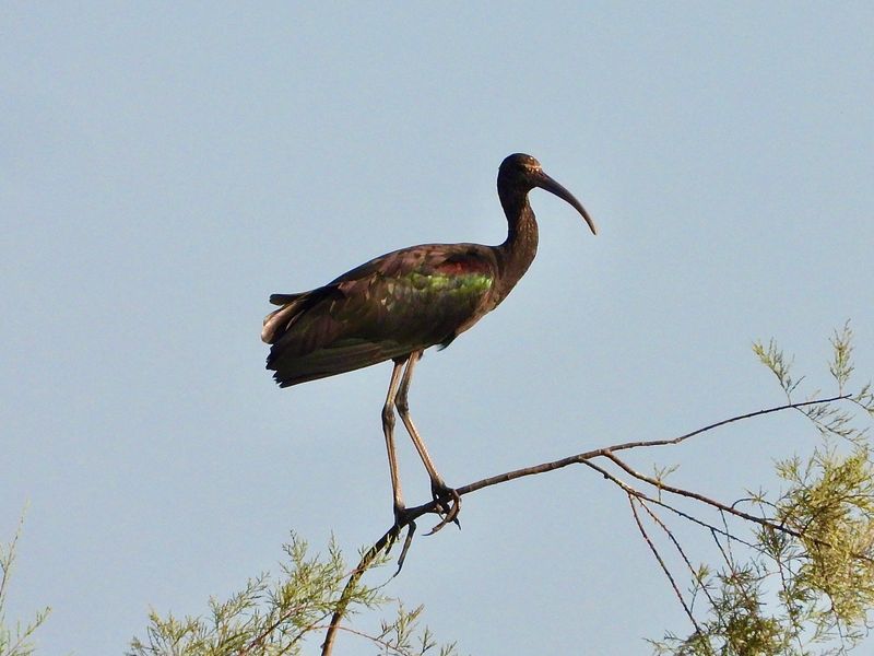 dscn3498.jpg