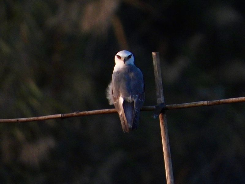 dscn3539.jpg