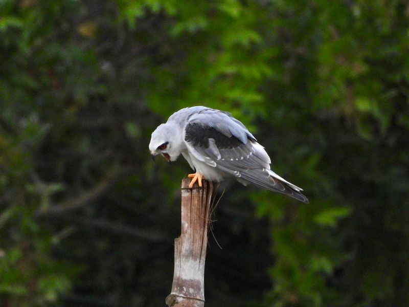 dscn3771.jpg