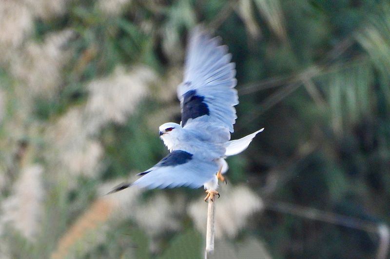 dscn4803.jpg
