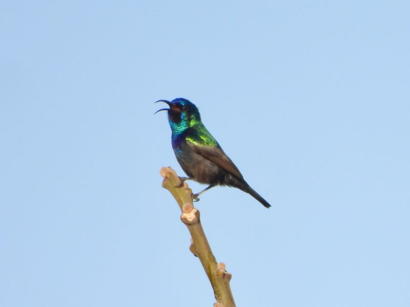 dscn4899.jpg
