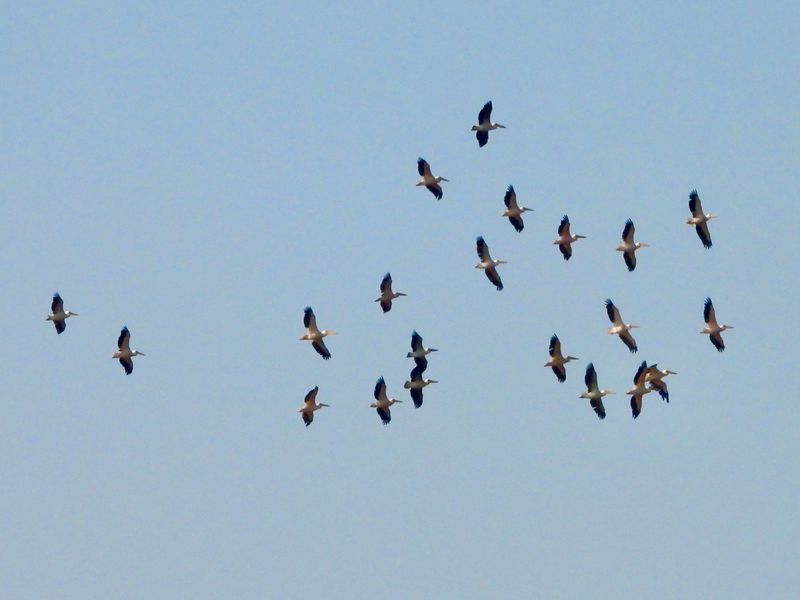 dscn4976.jpg