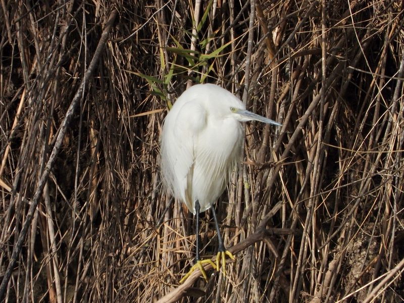 dscn5028.jpg