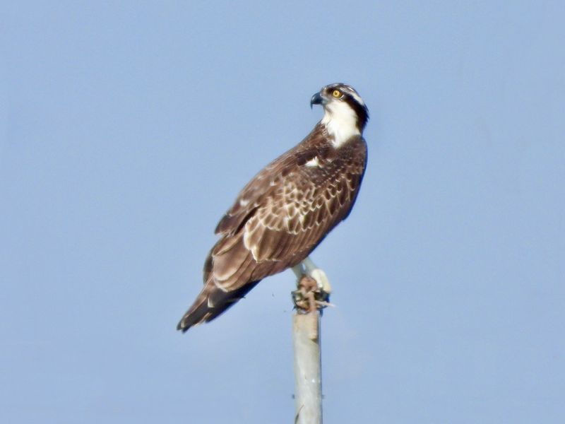 dscn5224.jpg
