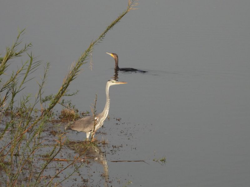 dscn5262.JPG