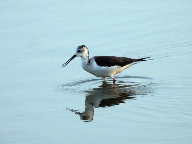 dscn5465.JPG