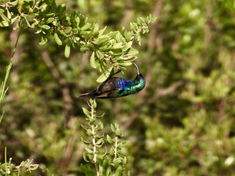 dscn5744.jpg