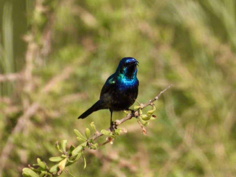 dscn5789.jpg
