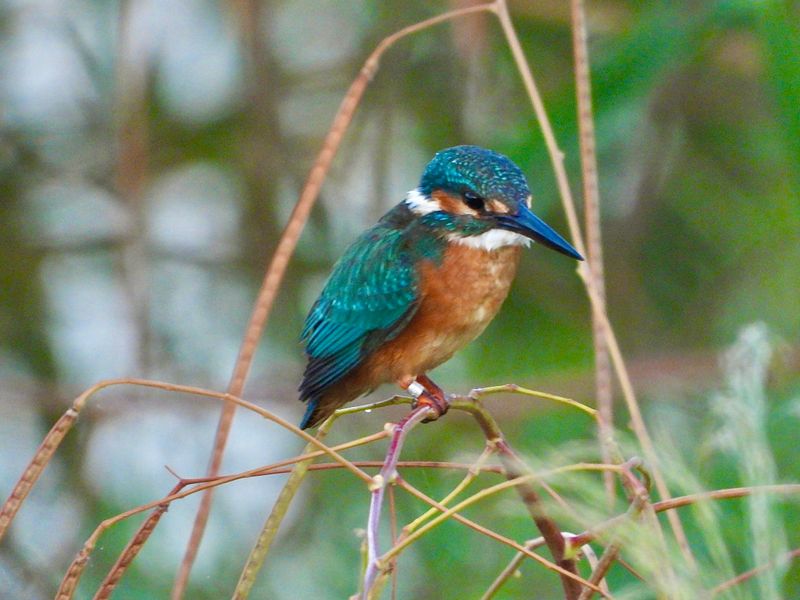 dscn5860.jpg