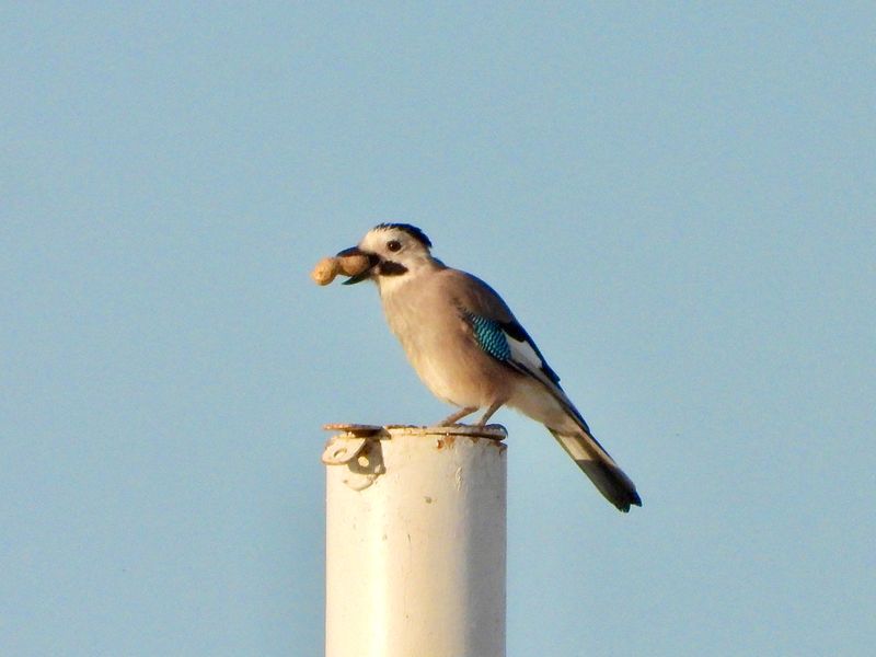 dscn5969.jpg