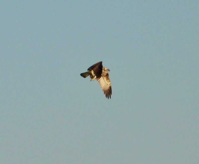 dscn6017.jpg