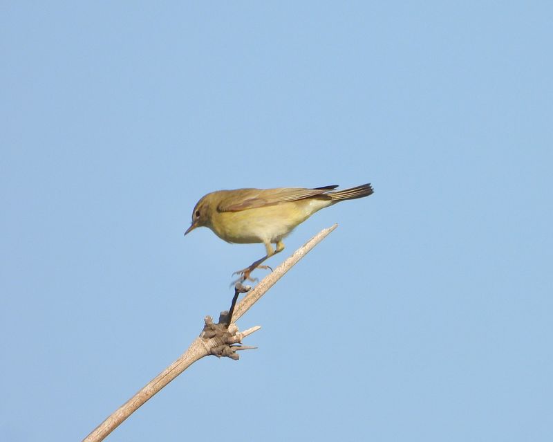 dscn6153.jpg