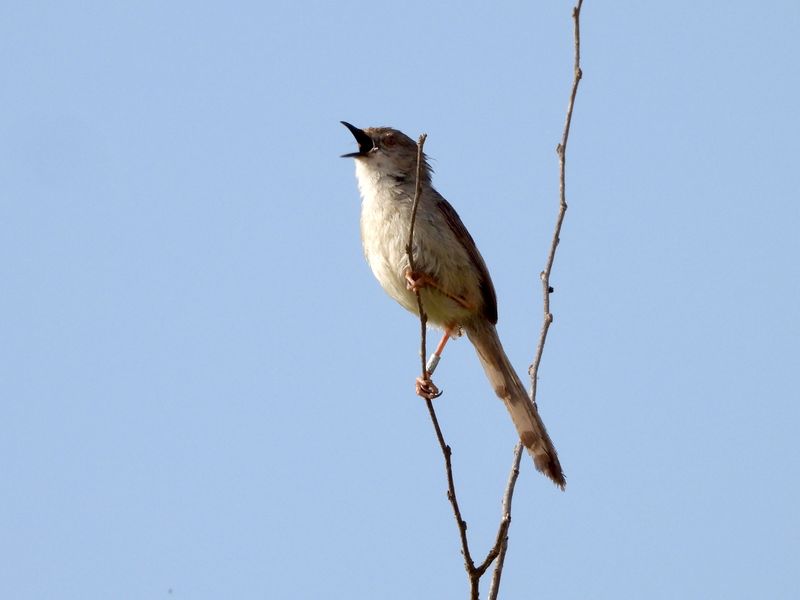 dscn6355.jpg