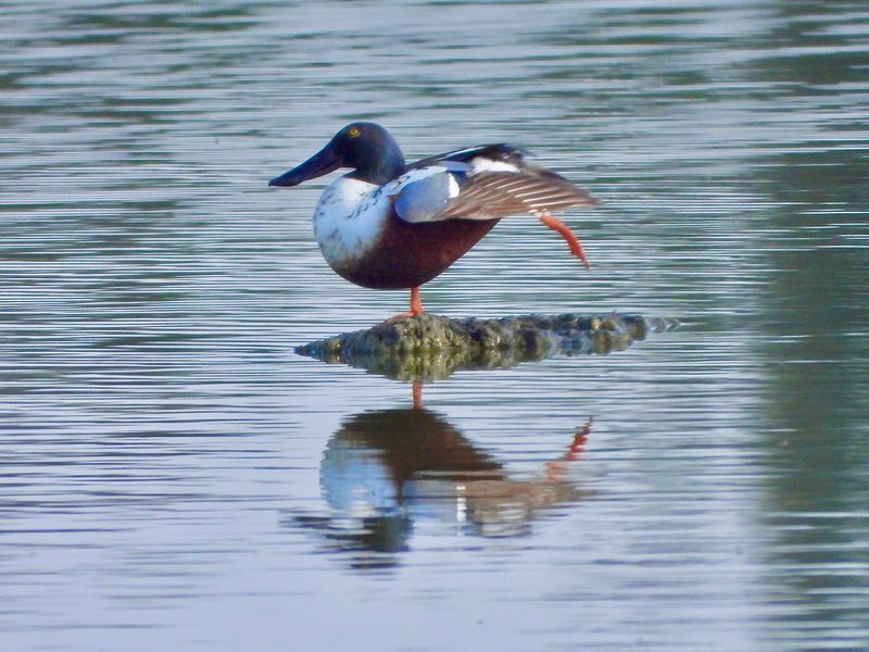 dscn6357.jpg