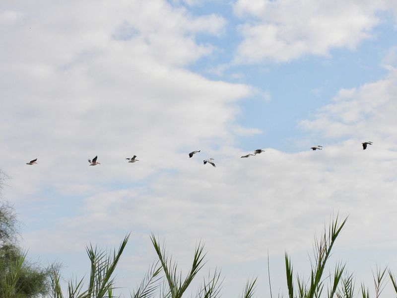 dscn6376.jpg