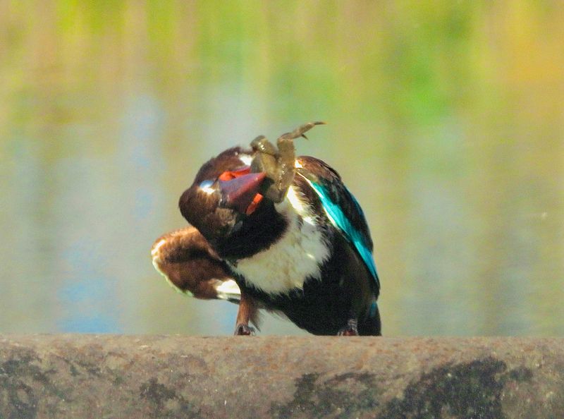 dscn6537.jpg