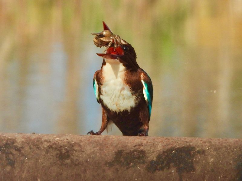 dscn6554.jpg