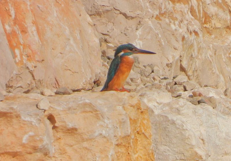 dscn6566.jpg