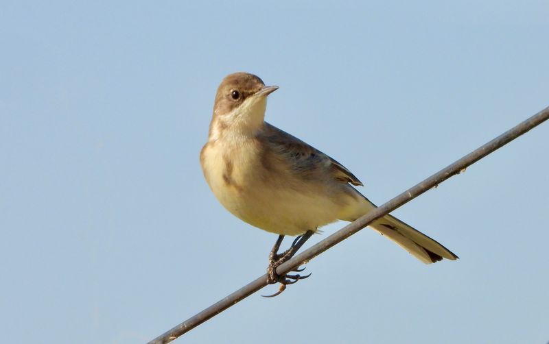 dscn6693.jpg