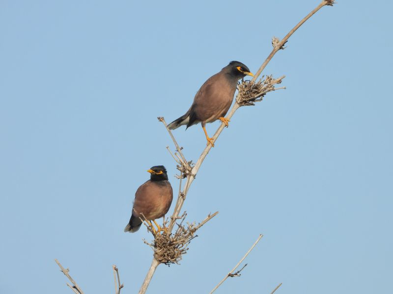 dscn6714.jpg