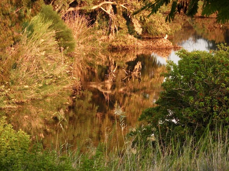 dscn6803.jpg