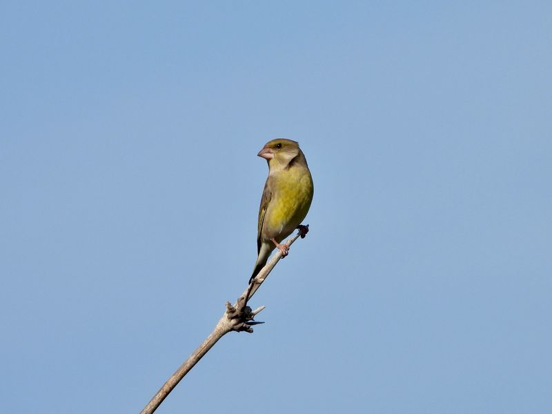 dscn7116.jpg