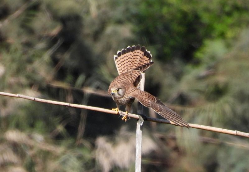 dscn7342.jpg