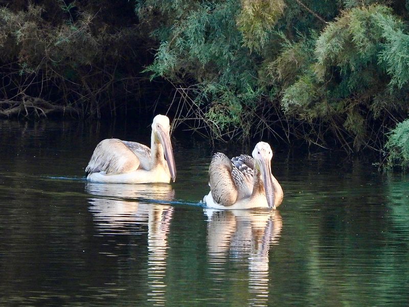 dscn7714.jpg