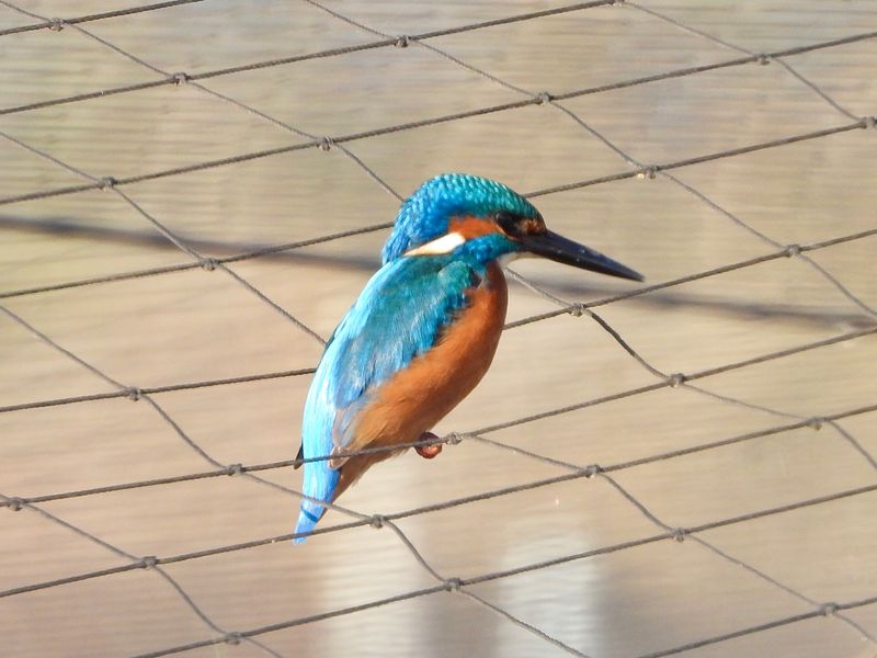 dscn7750.jpg