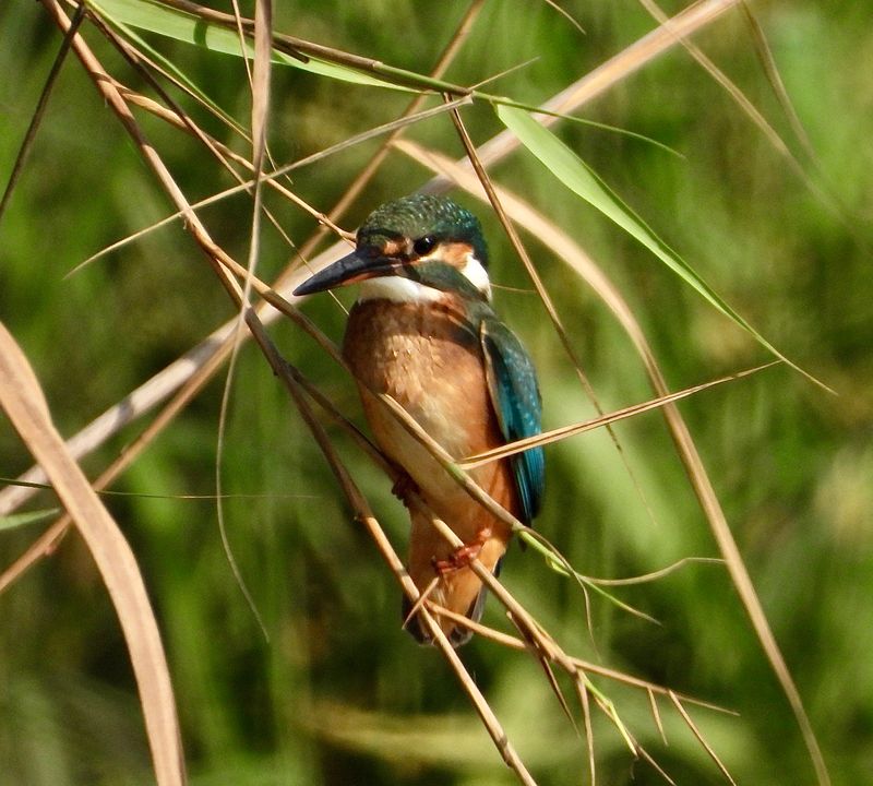 dscn8281.jpg