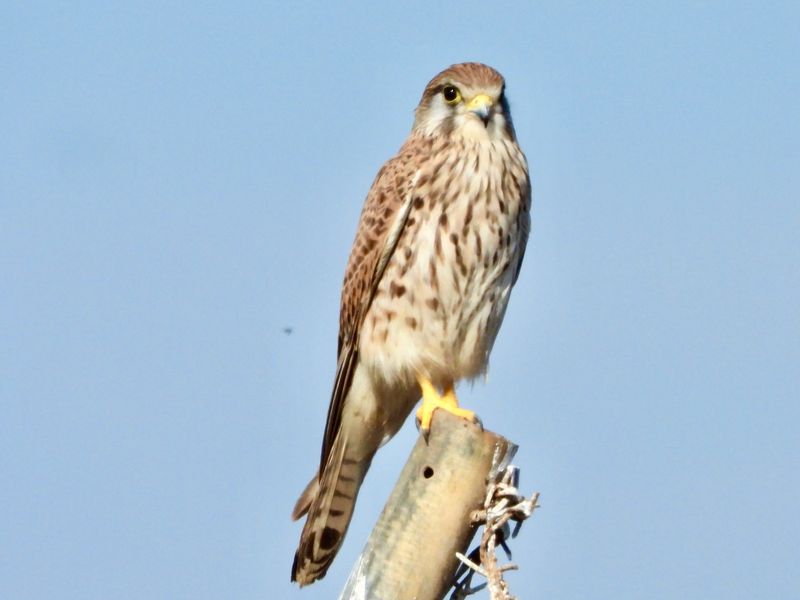 dscn8299.jpg