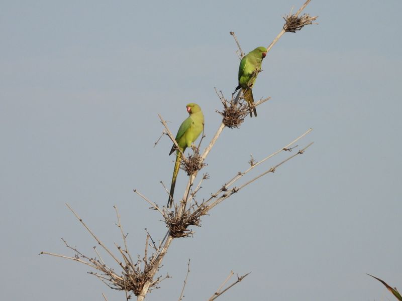 dscn8529.JPG
